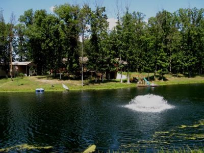 The Beauty of a Pond Image